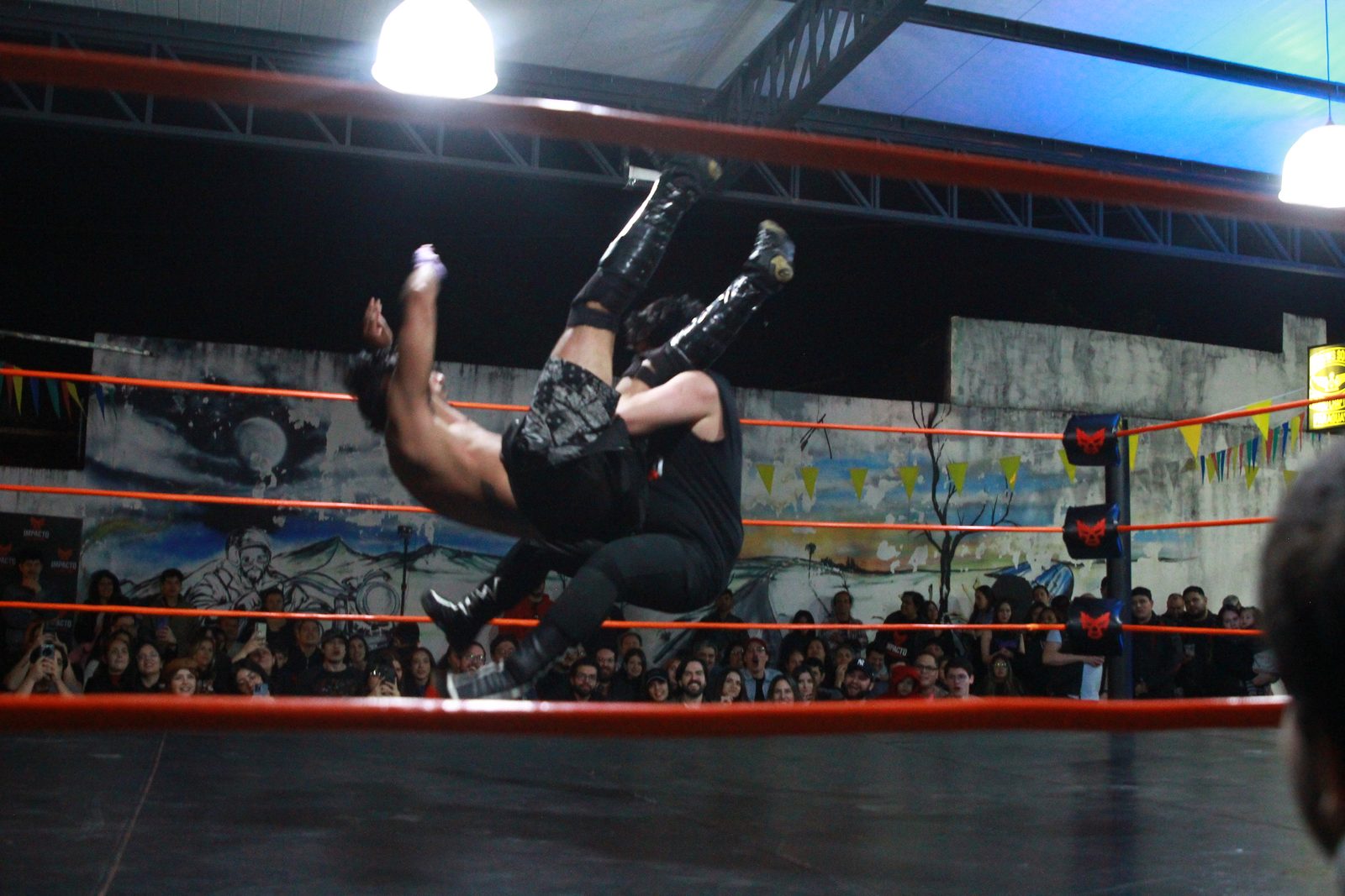 Foto Lucha 6